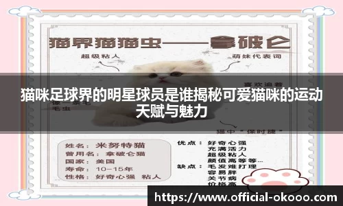 猫咪足球界的明星球员是谁揭秘可爱猫咪的运动天赋与魅力